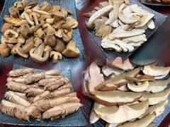 -蘑统田下·野生菌火锅