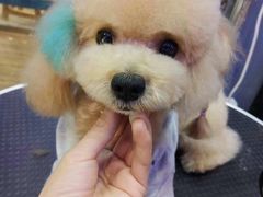 -沐沐家宠物(成寿寺店)