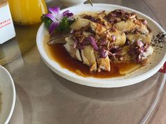 -鲤鱼塘农家山庄