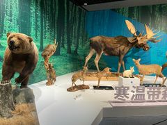 -中国湿地博物馆