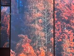 -中国湿地博物馆