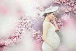 点击看大图 -巴黎春天·菀纱仙庭婚纱美学