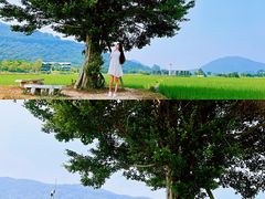 -艾米稻香小镇