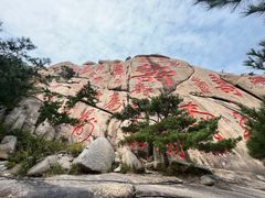 -崂山仰口游览区