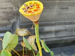 -李叔同故居纪念馆