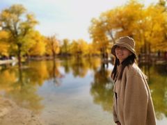 -金塔沙漠胡杨林景区