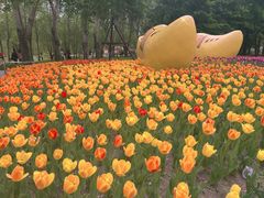 -长春公园(普阳街道)