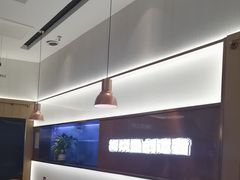 -老板恋上鱼(印象城店)