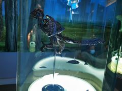 -辽宁古生物博物馆