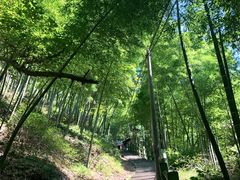 -藏龙百瀑风景区