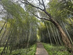 -采石矶景区
