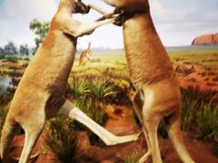 -陕西自然博物馆