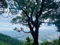 -惠山国家森林公园
