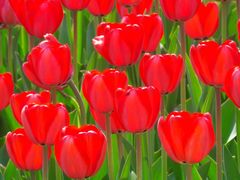 -北京植物园南门售票处