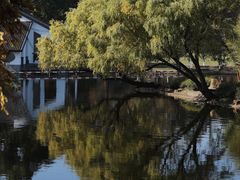 -上海共青森林公园