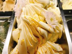 小榄菊花-歎雪糕低糖低脂Gelato冰淇淋