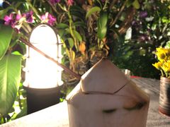 -Dash Teak House