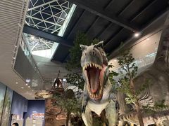 -湖南省地质博物馆