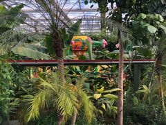 -南宫五洲植物乐园