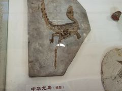 -福州科技馆
