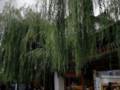-总统兵马大元帅府