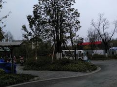 -白鹭湾湿地公园