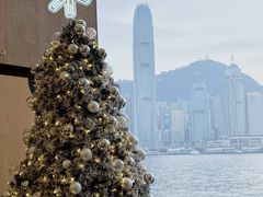 -海港城