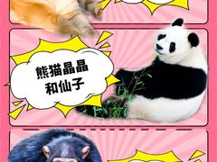 -西霞口神雕山野生动物世界