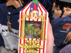 -九又四分之三站台哈利波特商店