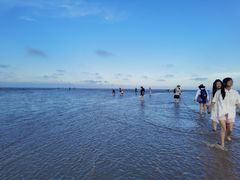 -南汇嘴观海公园