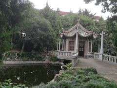 -叶家花园