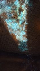 -翱翔飞越地平线