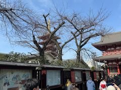 -浅草寺