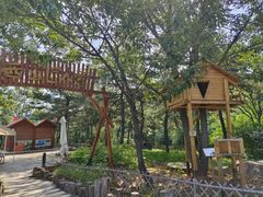 -北京西山国家森林公园