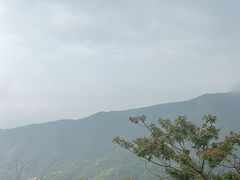 -三亚亚龙湾人间天堂鸟巢度假村