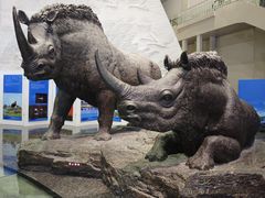 -大庆市博物馆