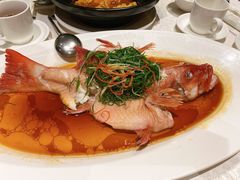 -维园悦谱·海派家常菜(乌鲁木齐南路店)