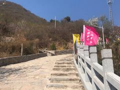 -大岭沟猕猴桃谷风景区