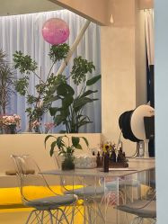 -韩芙莱芳疗spa健康管理