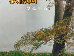 -秋霞圃