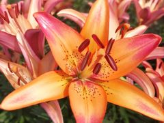 -长春公园(普阳街道)