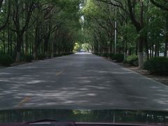 -林家饭店(新林公路店)