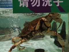 -步步高生活广场(王家湾店)