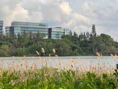 -华侨城湿地公园