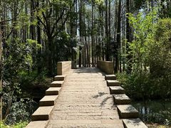 -同里国家湿地公园