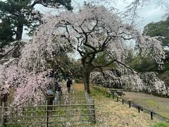 -京都御所