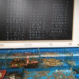海味尝鲜记