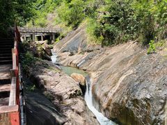 -广州白江湖森林公园