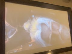 -蓉府金足印象(清江西路店)