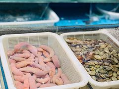 -将相和·海鲜蒸饺大连菜